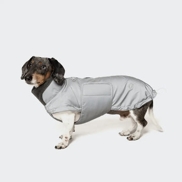 Størrelsesguide: Cloud7 jakker til gravhund