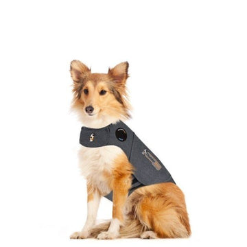 Thundershirt // Beruhigungsweste für Hunde