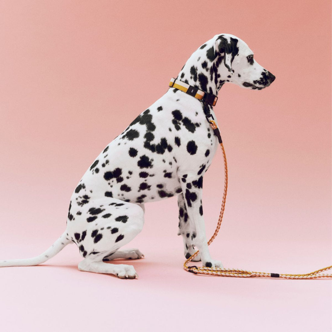 HAY Dogs Braided // Geflochtene Hundeleine aus recyceltem Nylon (Gelb/Creme)