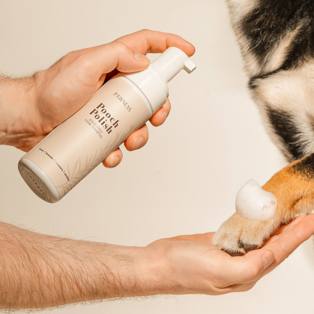 Pawness Pooch Polish // Trockenshampoo mit natürlichem Duft für Hunde