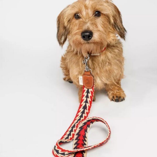 Buddys Dogwear Peruvian Arrow // Breite und leichte Leine (rot)