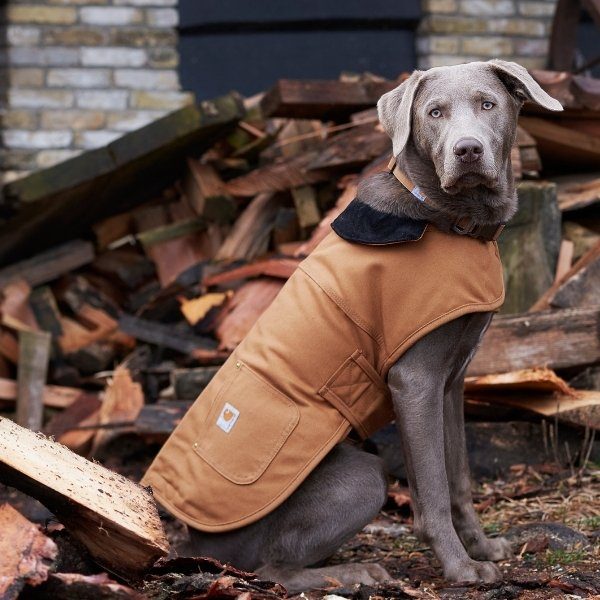 Carhartt Dog Jacket // Wasserabweisende Übergangsjacke (braun)