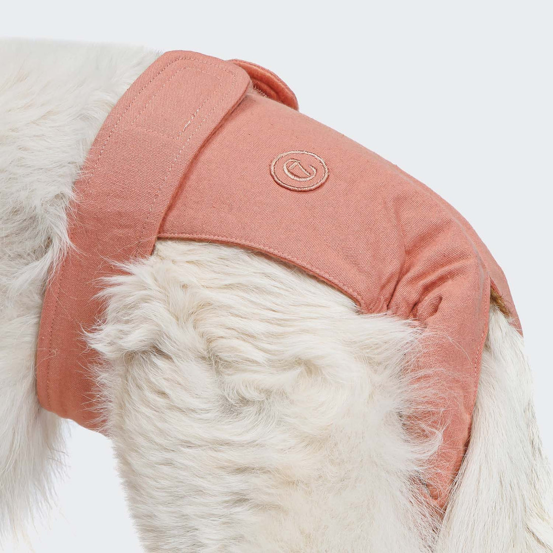 Cloud7 Dog Panties // Enganliegende Periodenhose (Rose)