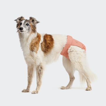 Cloud7 Dog Panties // Enganliegende Periodenhose (Rose)