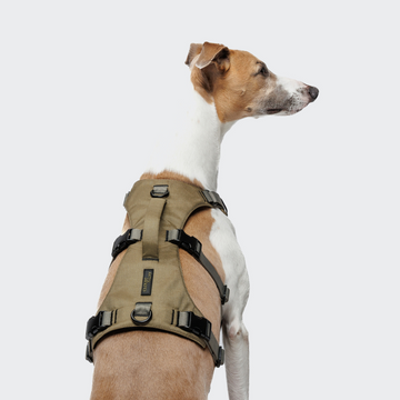 Cloud7 Aktiv Safe // Ausbruchsicheres Y-Geschirr mit Griff (khaki)