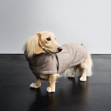 Cloud7 Brooklyn, Dackel // Warme und wasserdichte Hundejacke (Tweed Beige)