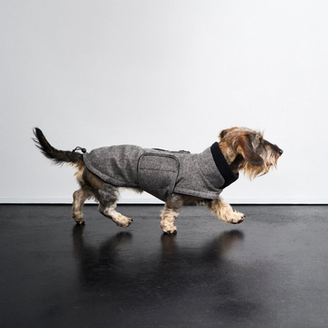 Cloud7 Brooklyn, Dackel // Warme und wasserdichte Hundejacke (Tweed schwarz)