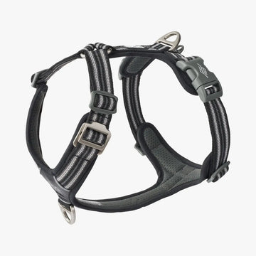Dog Copenhagen Comfort Walk Air™ // Leichtes und verstellbares Y-Geschirr (schwarz)