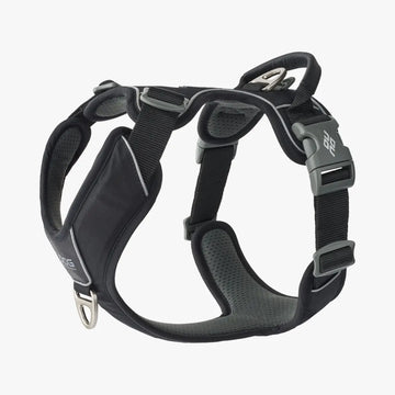 Dog Copenhagen Comfort Walk Pro™ // Leichtes und robustes Y-Geschirr (schwarz)