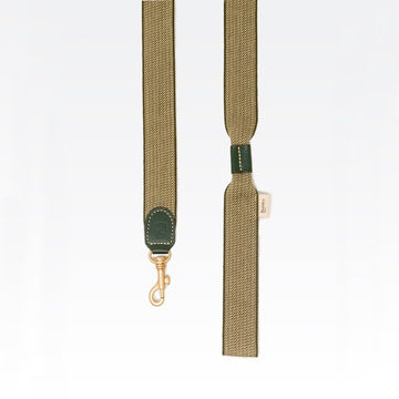Buddys Dogwear James Green // Breite und leichte Leine (grün)