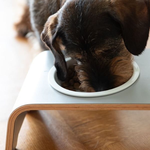 dogBar, Porzellannäpfe // Futter- und Wassernapfständer (grau)