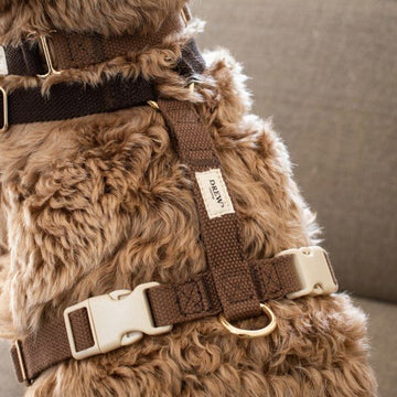 Drew's Dogwear Chocolate // Verstellbares Y-Geschirr (dunkelbraun)