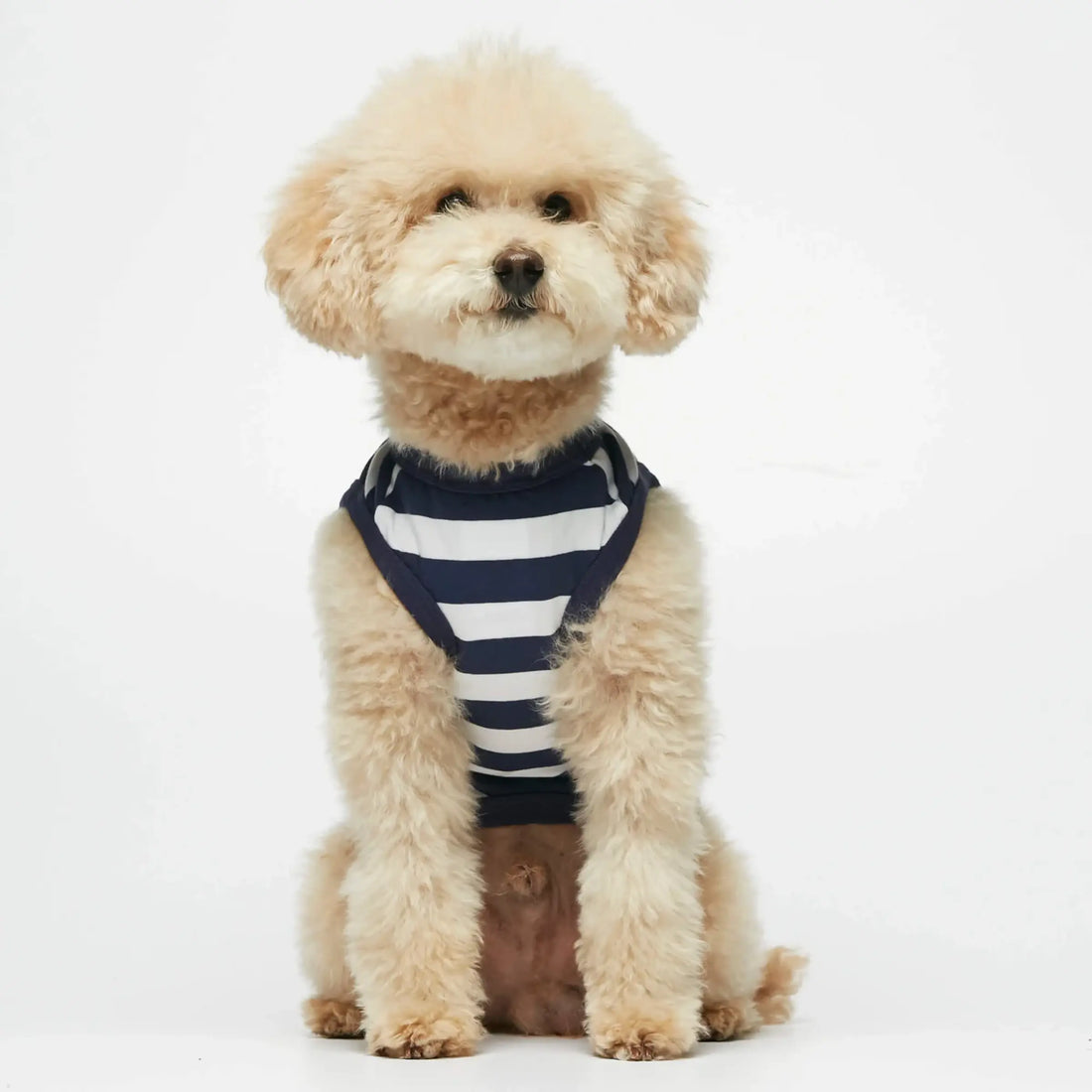 Ellsworth Bodysuit // Hundepullover aus Bio-Baumwolle (navy) M, L
