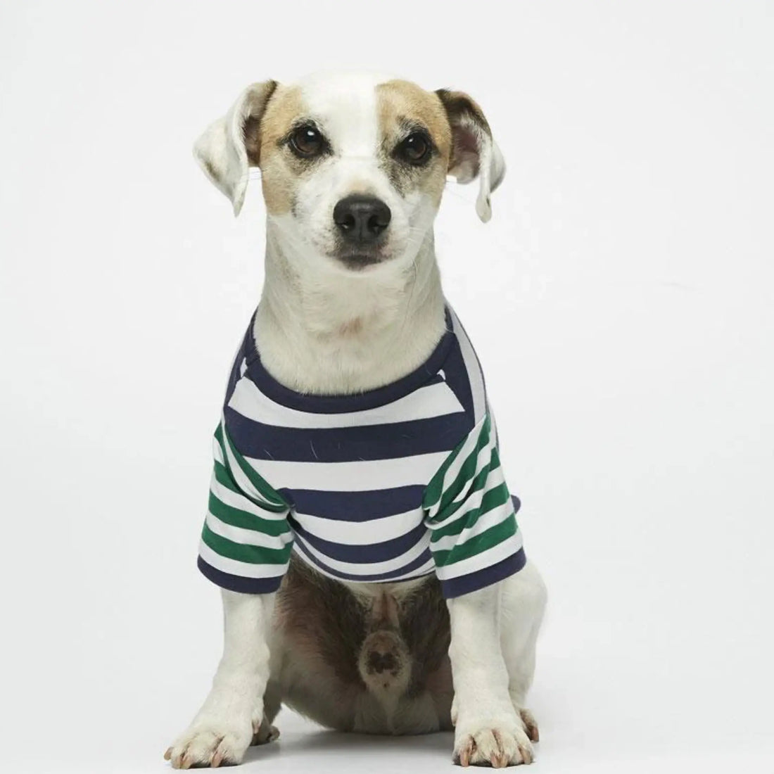 Ellsworth T-Shirt // Hundeshirt aus Bio-Baumwolle (navy/grün)