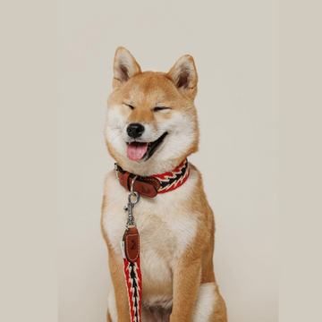 Geschenkgutschein für Hunni