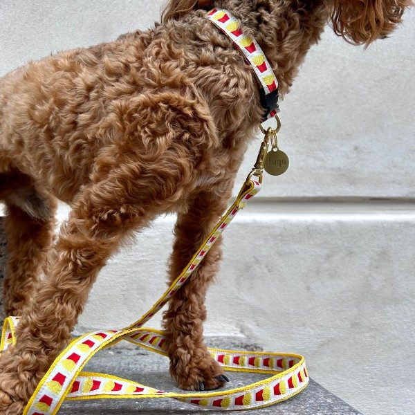 Meine erste Leine // Handgemachte Welpenleine (Pommes Frites)