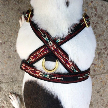 Marrakesh Red // Y-Geschirr für kleine und mittelgroße Hunde (rot/schwarz)