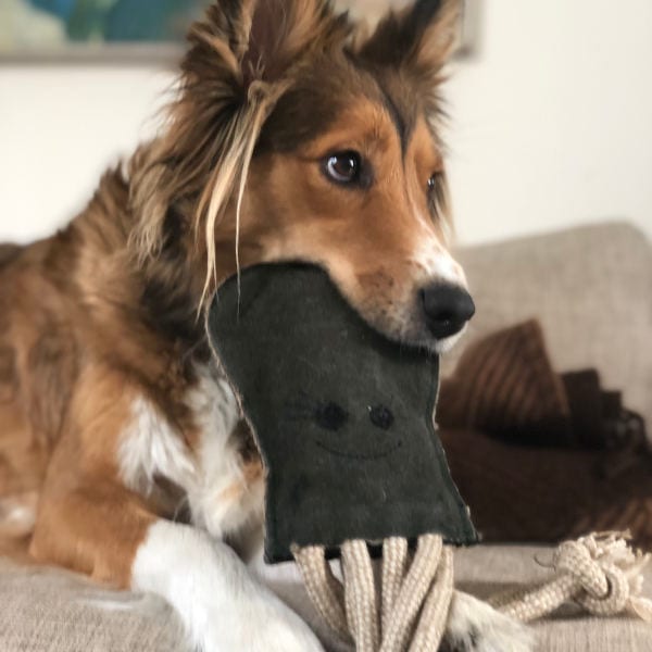 Olive der Oktopus // Hundespielzeug mit extra Knusper (Oktopus)