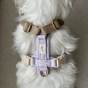 Drew's Dogwear Chocolate Pro // Verstellbares Y-Geschirr (Lavendel)