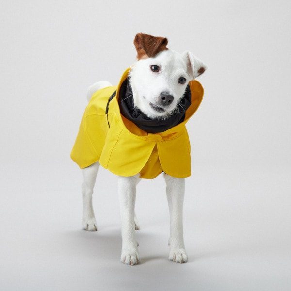 Paikka Rain // Funktionelle Hunderegenjacke mit guter Passform (Gelb)