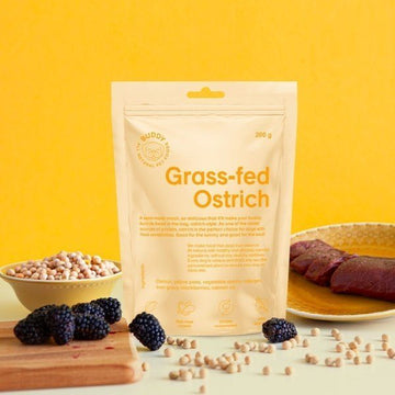 Buddy Ostrich // Leicht verdauliche Leckerlis mit Strauß und Brombeere