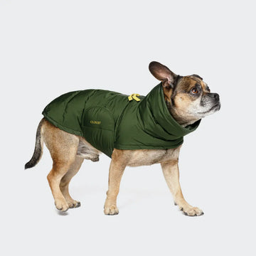 Cloud7 Alaska 2024, Französische Bulldogge // Warme Winterjacke (oliv)