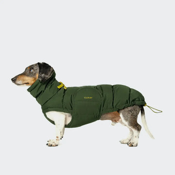 Cloud7 Alaska, Dackel // Warme Winterjacke (oliv)
