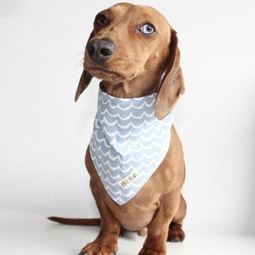 Perfect Wave // Hundehalstuch mit Wellen