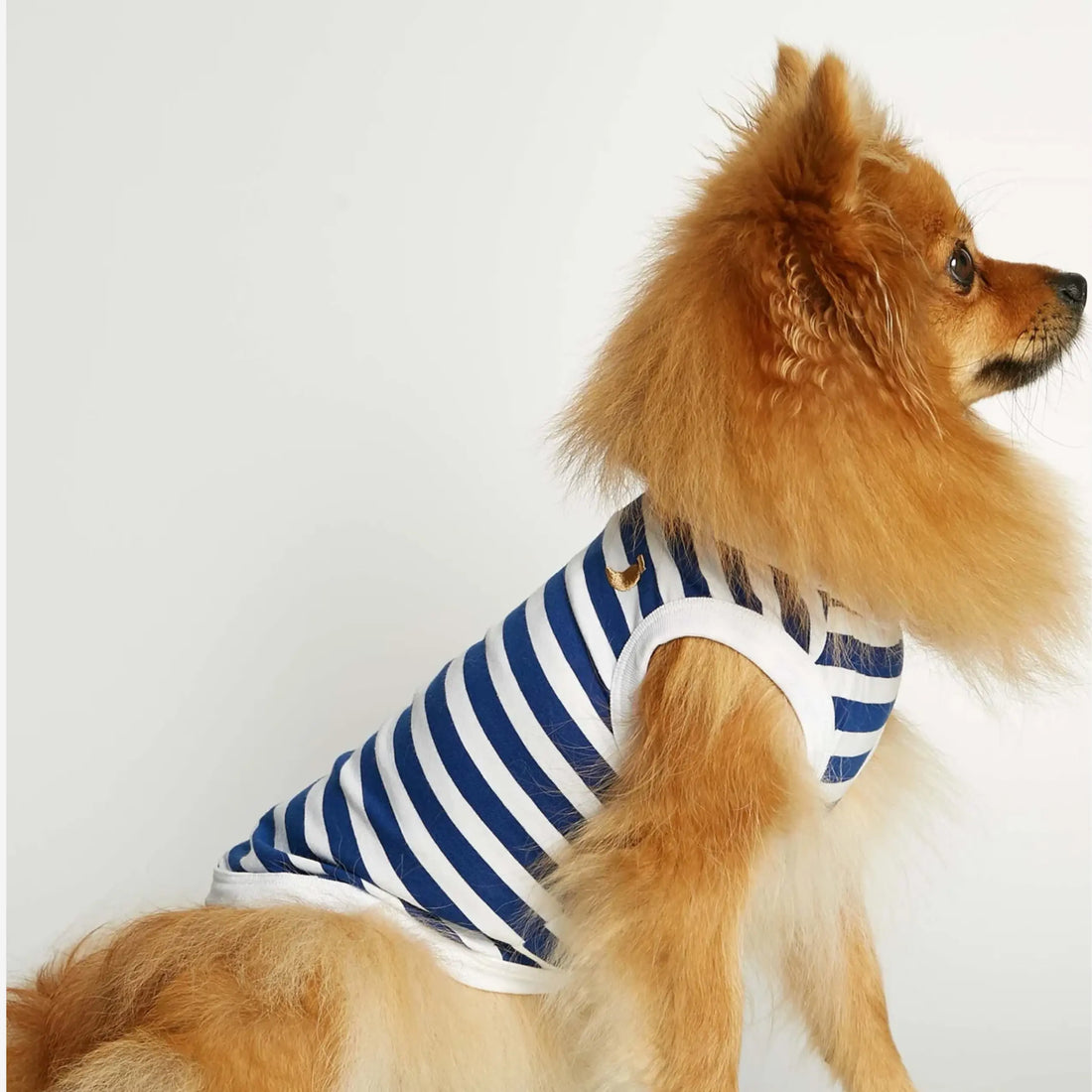 Daniel Bodysuit // Hundepullover aus Bio-Baumwolle (blau)