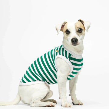 Daniel Bodysuit // Hundepullover aus Bio-Baumwolle (grün)