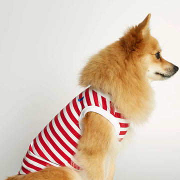 Daniel Bodysuit // Hundepullover aus Bio-Baumwolle (rot)