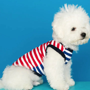 Daniel Bodysuit // Hundepullover aus Bio-Baumwolle (blau/rot)