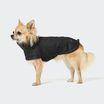 Cloud7 Brooklyn // Warme Hundedecke (anthra)