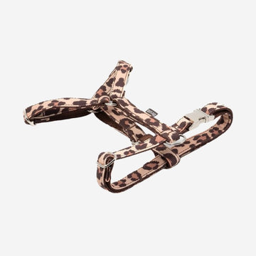 Brott Copons // Verstellbares H-Geschirr für Hunde (Leopard)