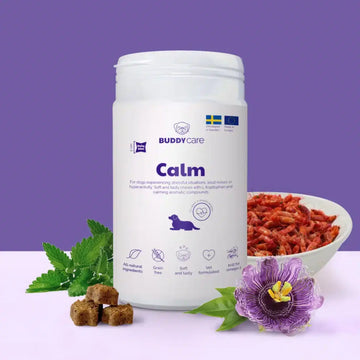 Buddy Calm // Natürliches Nahrungsergänzungsmittel mit beruhigender Wirkung