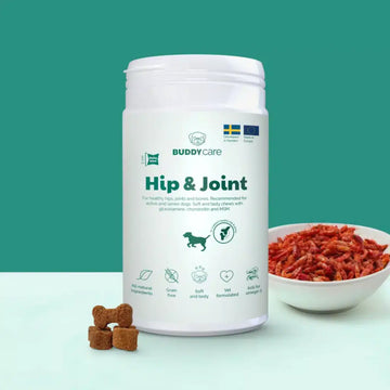 Buddy Hip & Joint // Natürliches Nahrungsergänzungsmittel für Knochen und Gelenke