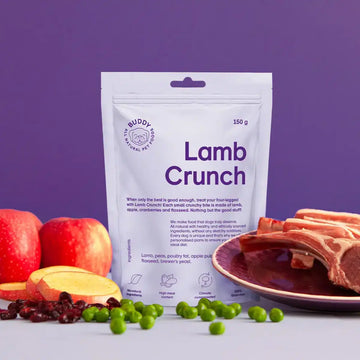 Buddy Lamb Crunch // Knusprige Leckereien mit Lamm und Cranberries
