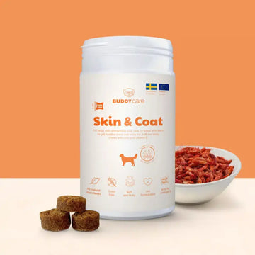 Buddy Skin & Coat // Natürliches Ergänzungsmittel für Fell und Haut