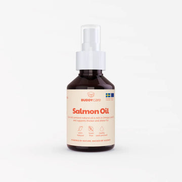 Buddy Salmon Oil // Kaltgepresstes, natürliches Lachsöl für Hunde (100 ml)