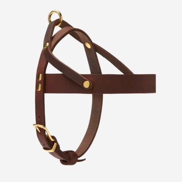 Butter Classic // Klassisches Geschirr aus weichem Leder (dunkelbraun)