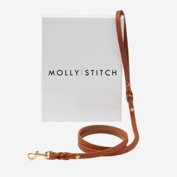 Butter Sahara City Leash // Klassische Hundeleine aus weichem Leder (cognac)