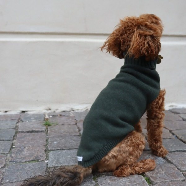 Calimar Sweater // Gestrickter Hundepullover aus Wolle (dunkelgrün)
