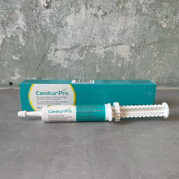 Canikur Pro Paste // Ergänzungsmittel zur Unterstützung der Darmflora Ihres Hundes