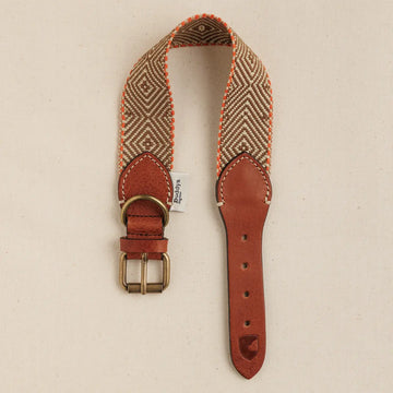 Buddys Dogwear Capri Isola // Breites und leichtes Halsband (braun/orange)