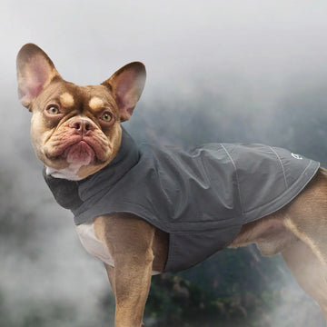 Cloud7 Brooklyn, Französische Bulldogge // Warme Hundedecke (reflektierend)