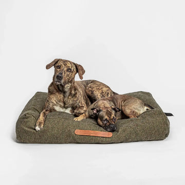 Cloud7 Homey // Weiches Hundekissen (Oliv)