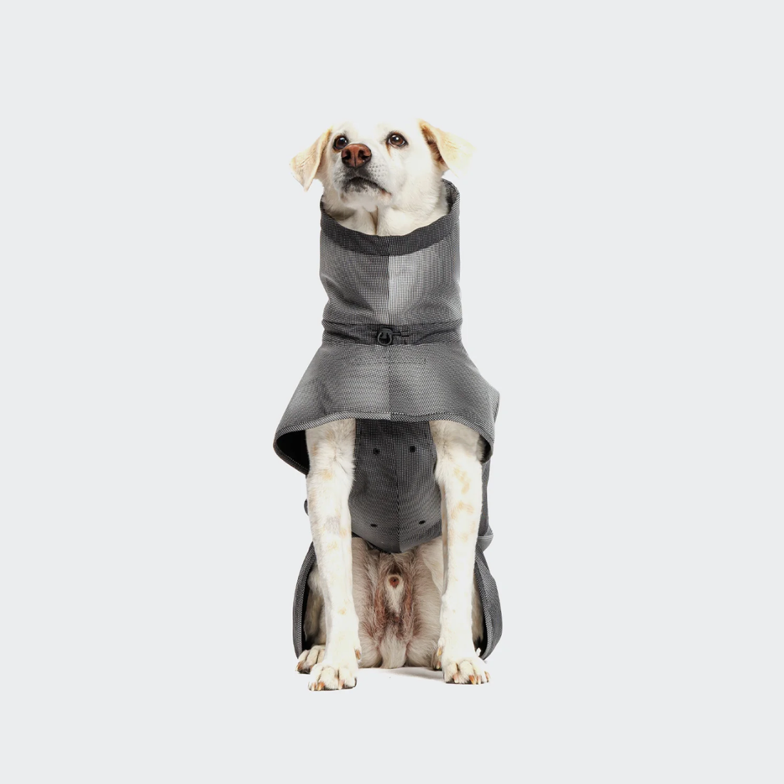 Cloud7 ACTIVE // Wasser- und winddichte Regenjacke mit Reflektoren (schwarz)