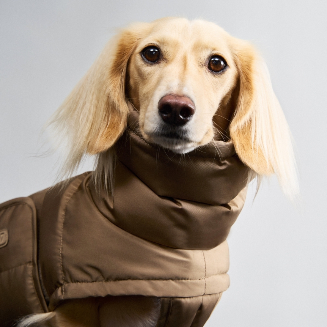 Cloud7 Alaska, Dackel // Extra warme Winterjacke (Sandbraun)