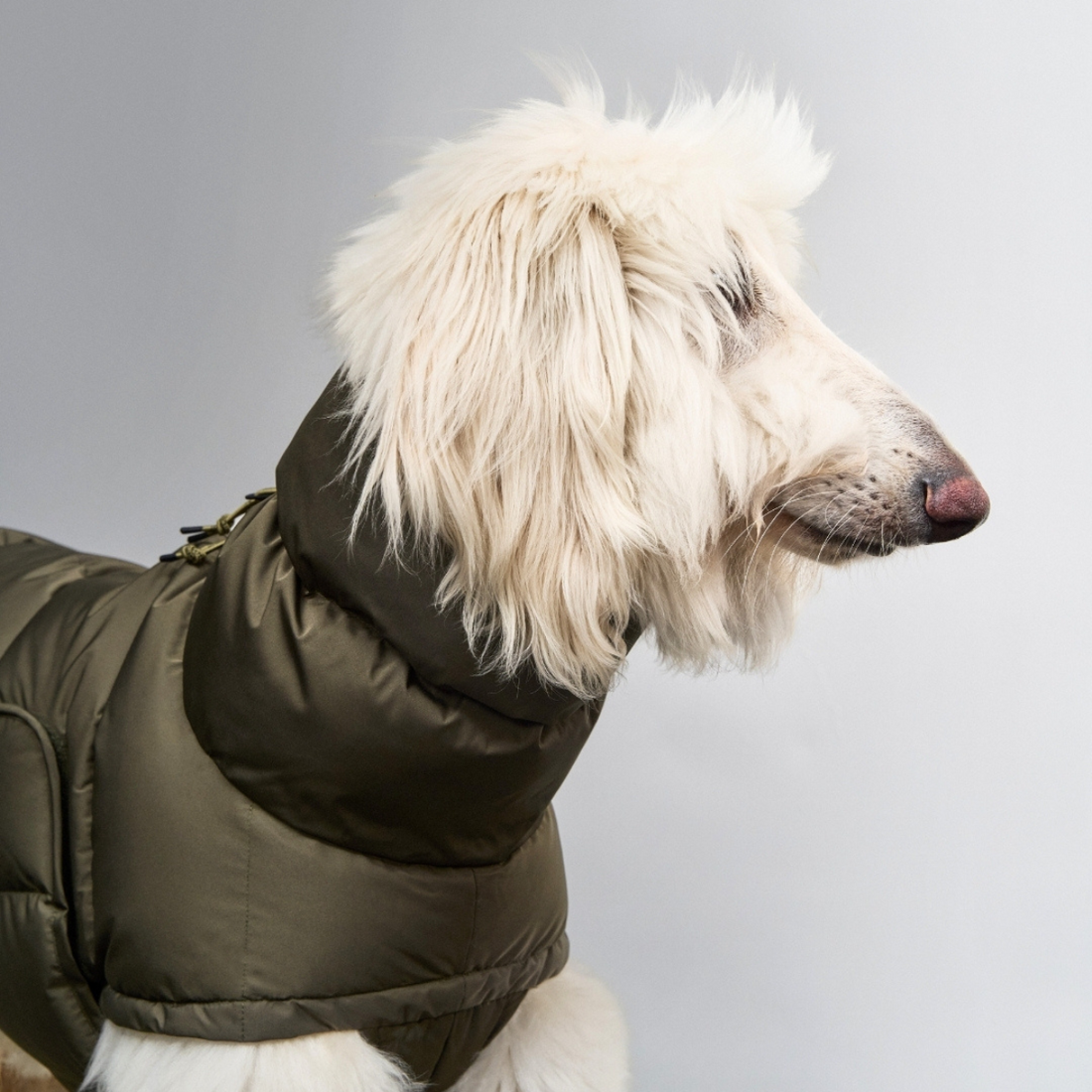 Cloud7 Alaska, Mynde // Extra warme Winterjacke (helloliv)