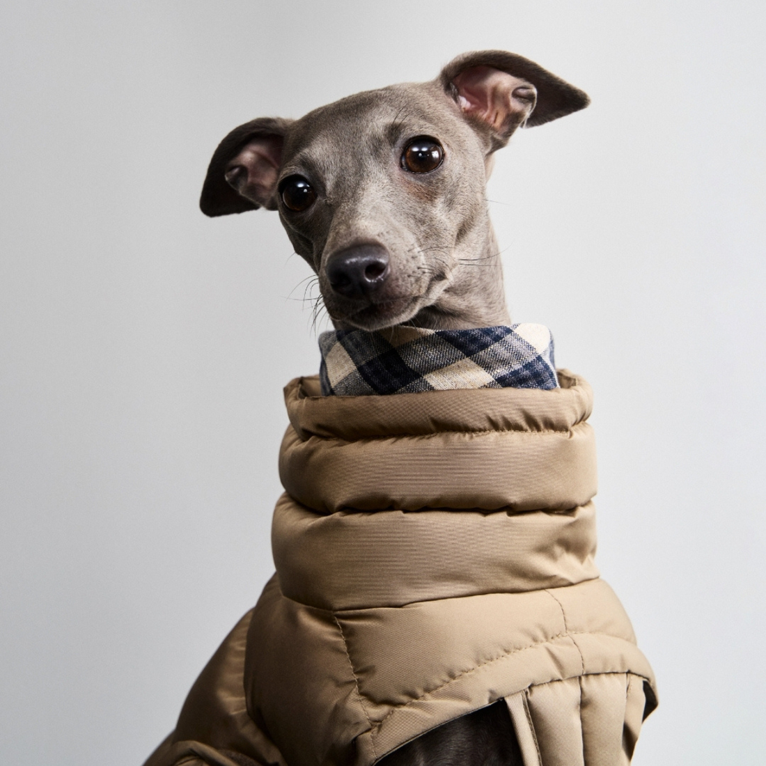Cloud7 Alaska // Extra warme Winterjacke für Hunde (Sandbraun)